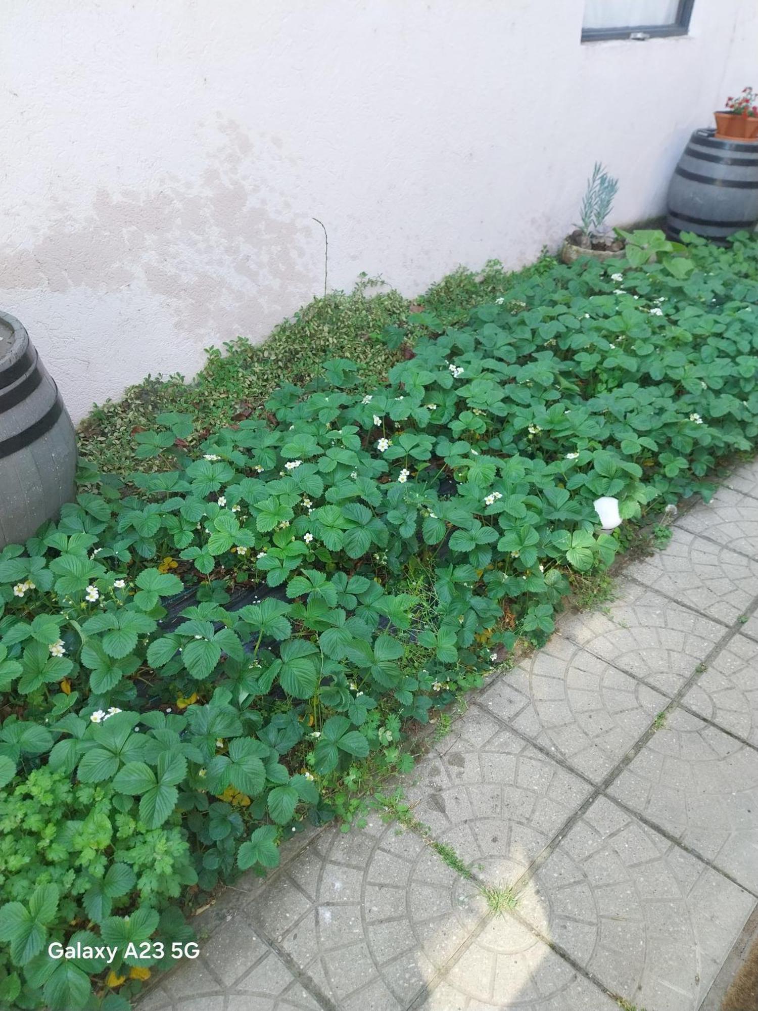 Appartamento Repi-tar